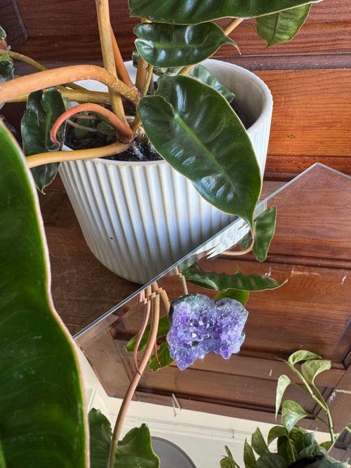 Amethyst Crystal