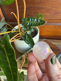 Angel Aura Rose Quartz Sphere