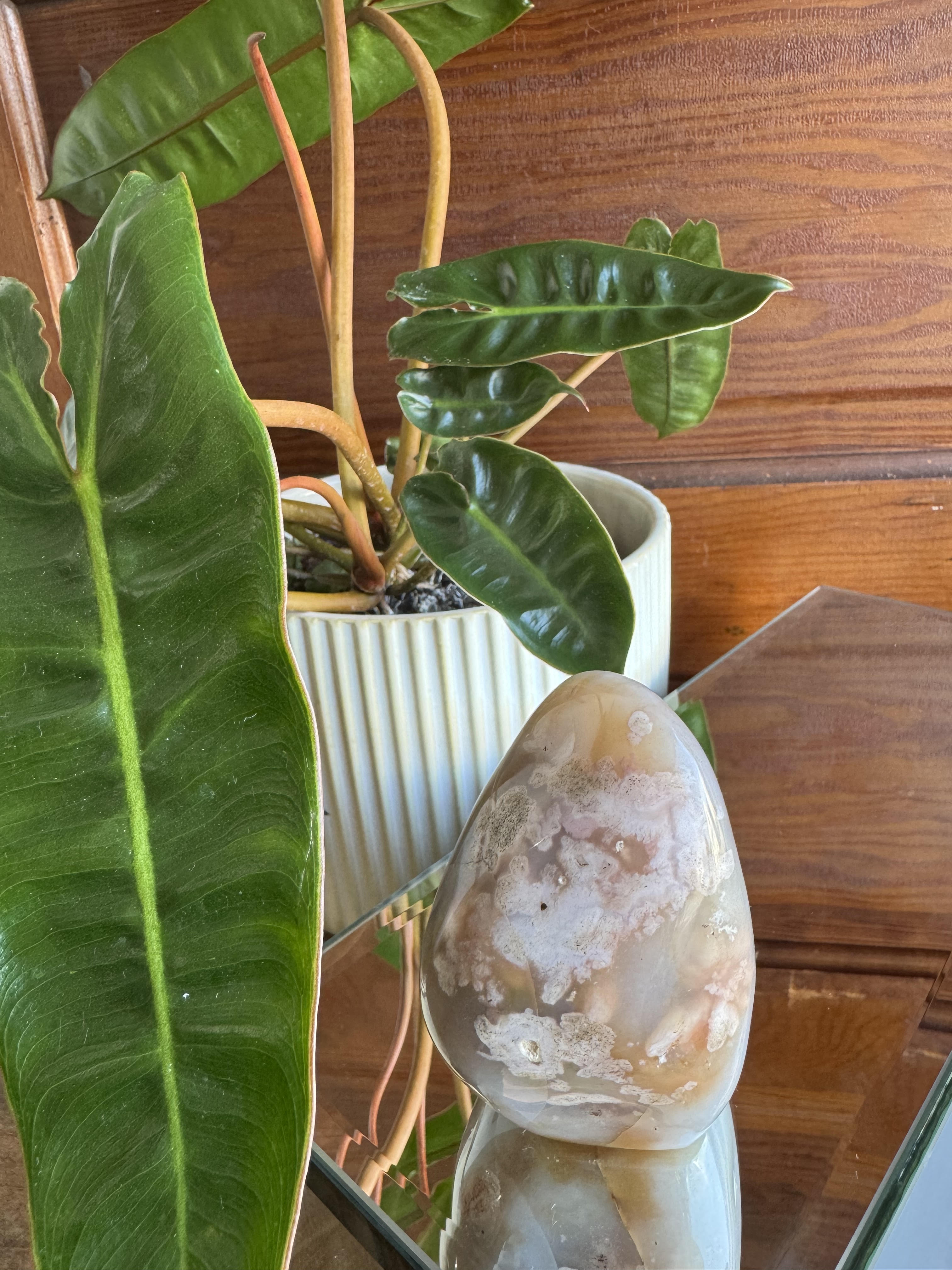 Flower Agate- Free Form