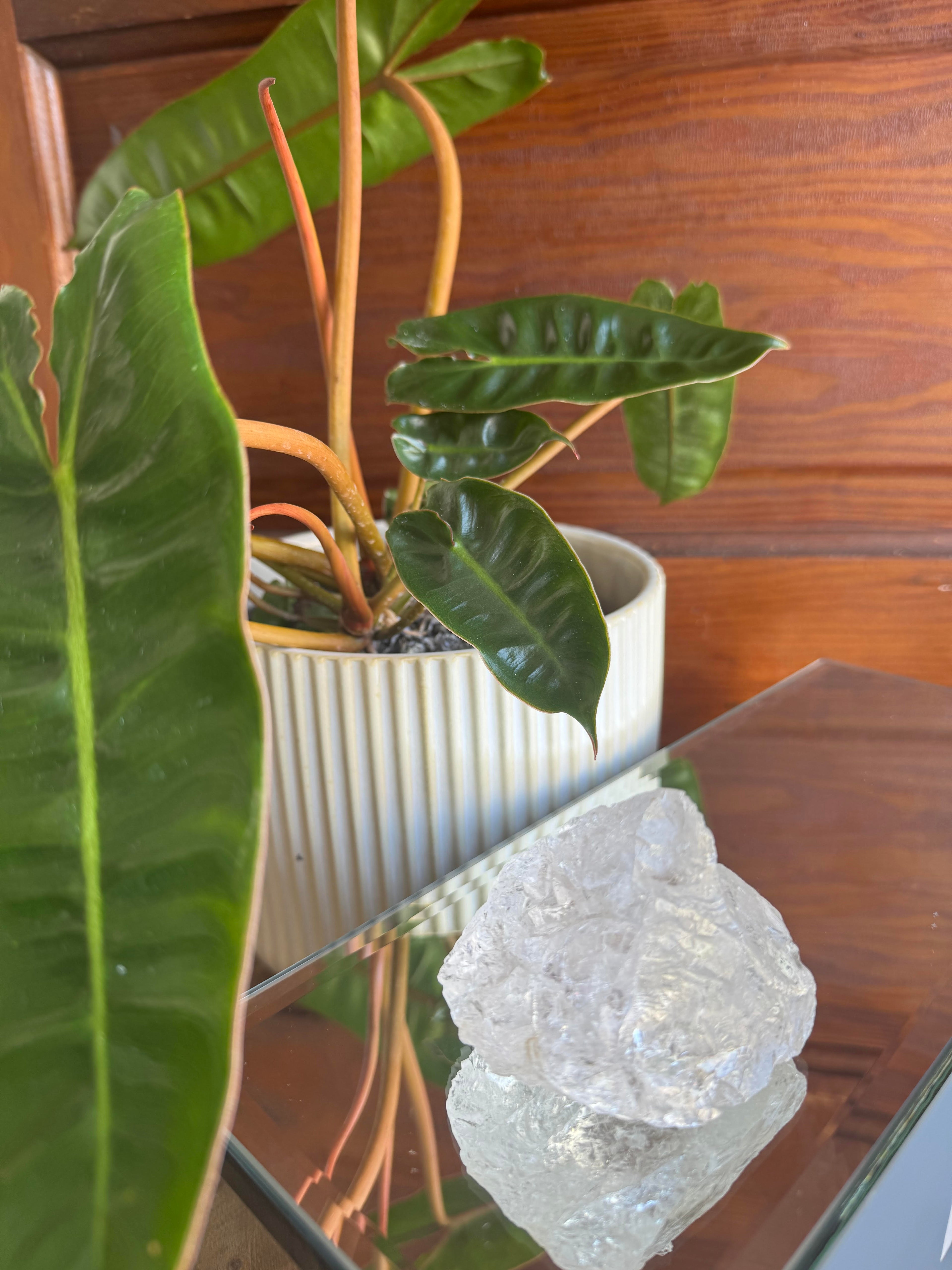 Quartz- Raw, Free Form