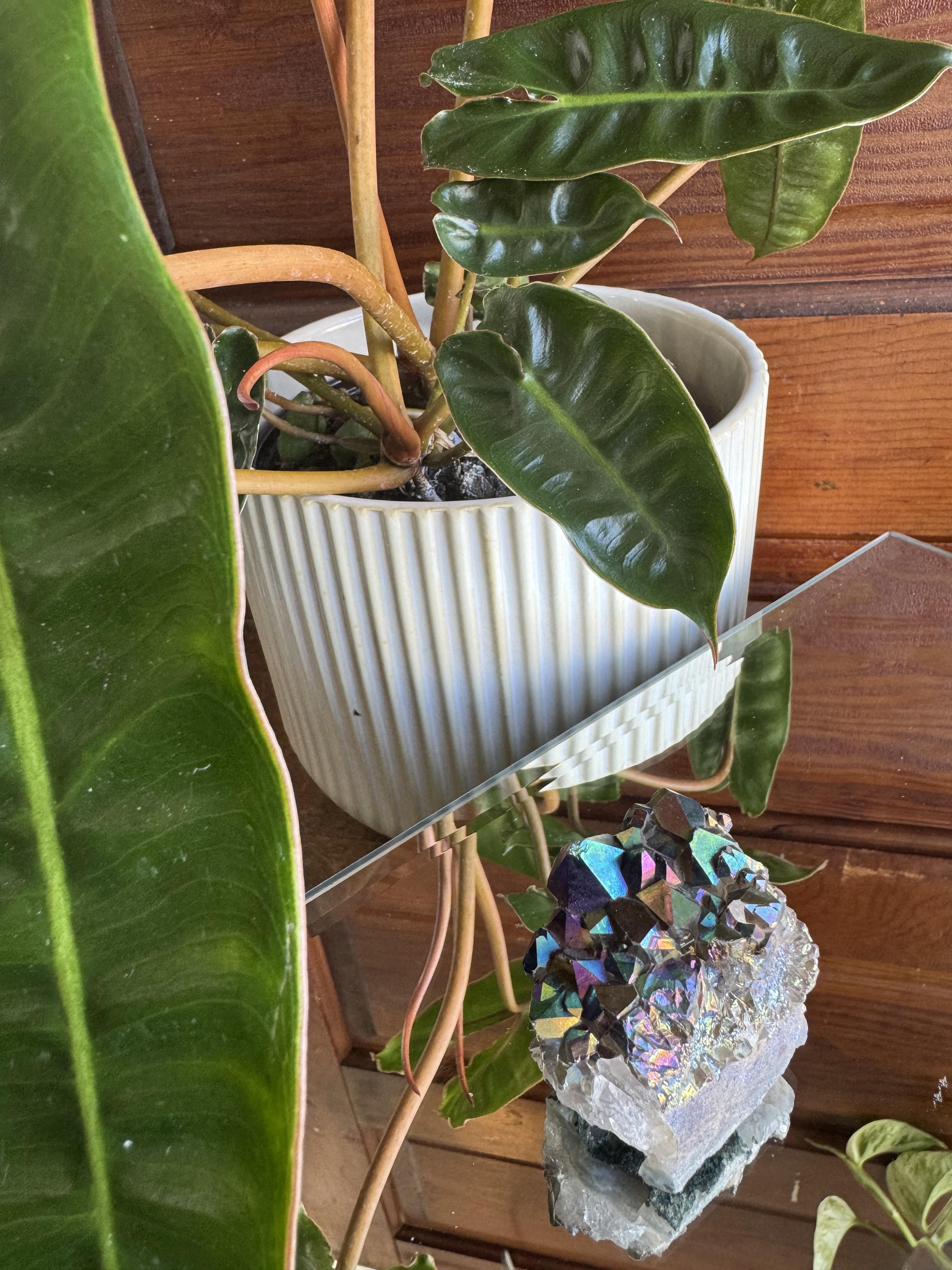 Titanium Aura Quartz